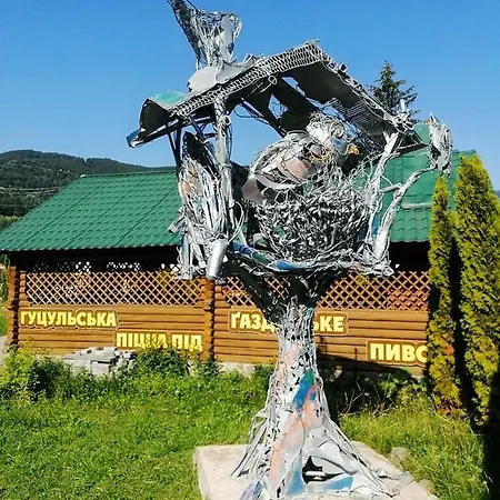 васкул Kvasy