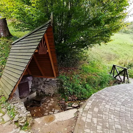 Hotel васкул *