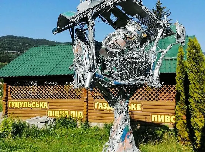 васкул Kvasy