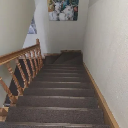 васкул * Kvasy