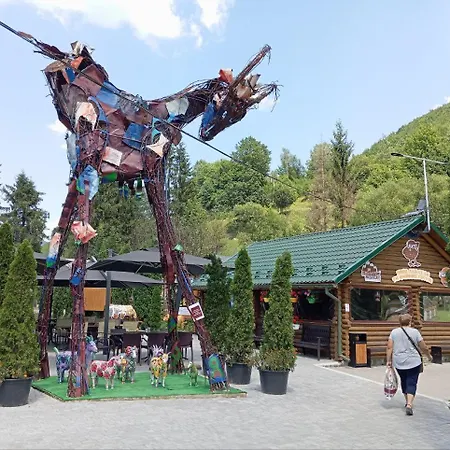 Hotel васкул *