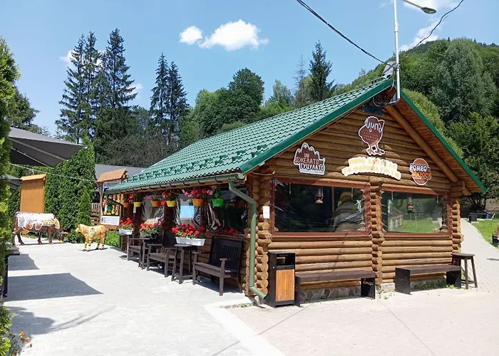 васкул * Kvasy